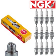 12 Pack Spark Plugs NGK OEM Standard Kit Set For Ferrari 512 TR 4.9L H12 1992-94 picture