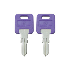 1 Pair (2 keys) Global Link Precut Keys G301 - G391 RV Trailer Camper Keys picture