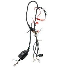 X-PRO Replacement Wiring Harness for 150cc Scooter Moped, BD150T-6(Bali)/MC-N030 picture