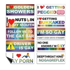 10-Pack Personalized Fun LGBT Bumper Stickers Colorful Magnetic Classic Style  picture