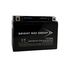 Yuasa YTZ12S Battery (Replacement) picture