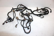 2006 Polaris Sportsman 500 Oem Main Wire Harness 2410625 AP183 picture