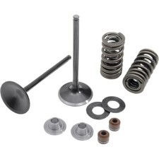 Kibblewhite Precision - 30-31200 - Intake Only Stainless Conversion Valve/Spring picture