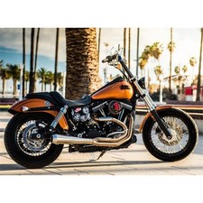 Bassani Road Rage Type III Stainless 2-Into-1 Exhaust - 1D1SS picture