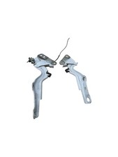 2020-2025 CHEVY SILVERADO 2500 OEM RH FRONT RIGHT &LEFT HOOD BONET HINGE SET (2) picture