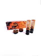 MSS Suspension BMW M3/M4 Competition Track Full Adjustable Kit picture