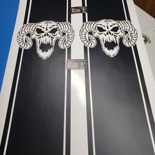 Vinyl bedstripes Compatible with Dodge Ram . Ford Chevy  Graphic Truck skull picture