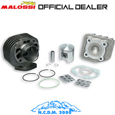 Thermal Unit Malossi 72cc D.47 Kymco People 50 2T Cast Iron Sp.12 picture