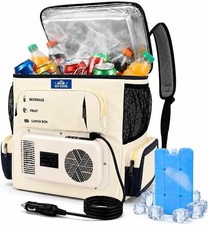 16Qt Portable Electric Cooler Warmer Bag 32°F-140°F 12V/110V Camping Travel picture