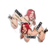Pinup Girl Sticker Scarlett Hottie Hot Sexy Babe Nose Art Pin Up Decal 2PK picture