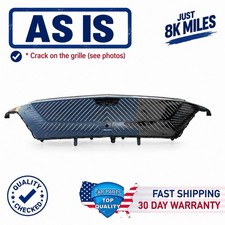 2023-2025 CADILLAC LYRIQ FRONT BUMPER MAIN GRILL GRILLE LED OEM picture