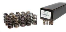 Brian Tooley SP021-16 .625 Lift Drop-In Valve Springs Set for 2009+ 5.7L Hemi picture