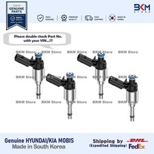 Genuine 353102GTA1 Fuel Injector Assy 4 PCS for G70, Sanata Fe, Sportage,Sorento picture