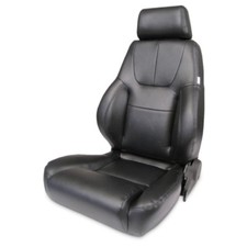ProCar Elite Lumbar Seat picture