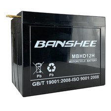 Banshee YHD-12H for Harley Electra Glide FLH & Sportster XLH Models (1965-1984) picture