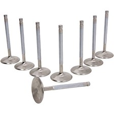 Manley Race Master Race Flo Intake Valves LS1 / LS2 / LS6 picture