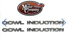 Cowl Induction Double Sided Tape Emblems (not metal) picture