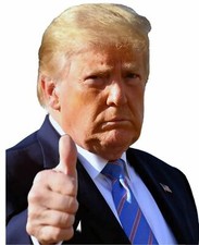 RIDE WITH PASSENGER TRUMP 2024 PERFORATED Small 6''Tall STICKER USA CAR WINDOW picture