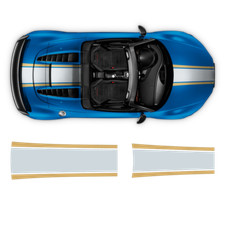 Two Colors Stripes Over The Top, for Audi R8 / R8 Spyder picture