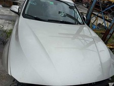 Hood Fits 12-18 BMW 320i 1488441 picture