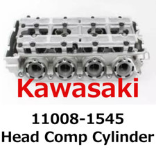 【NEW】Kawasaki Genuine Head Comp Cylinder 11008-1545 Direct From Japan picture