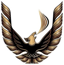 Pontiac Firebird Trans AM Vintage American Muscle Car Vinyl Sticker Decal Hood picture