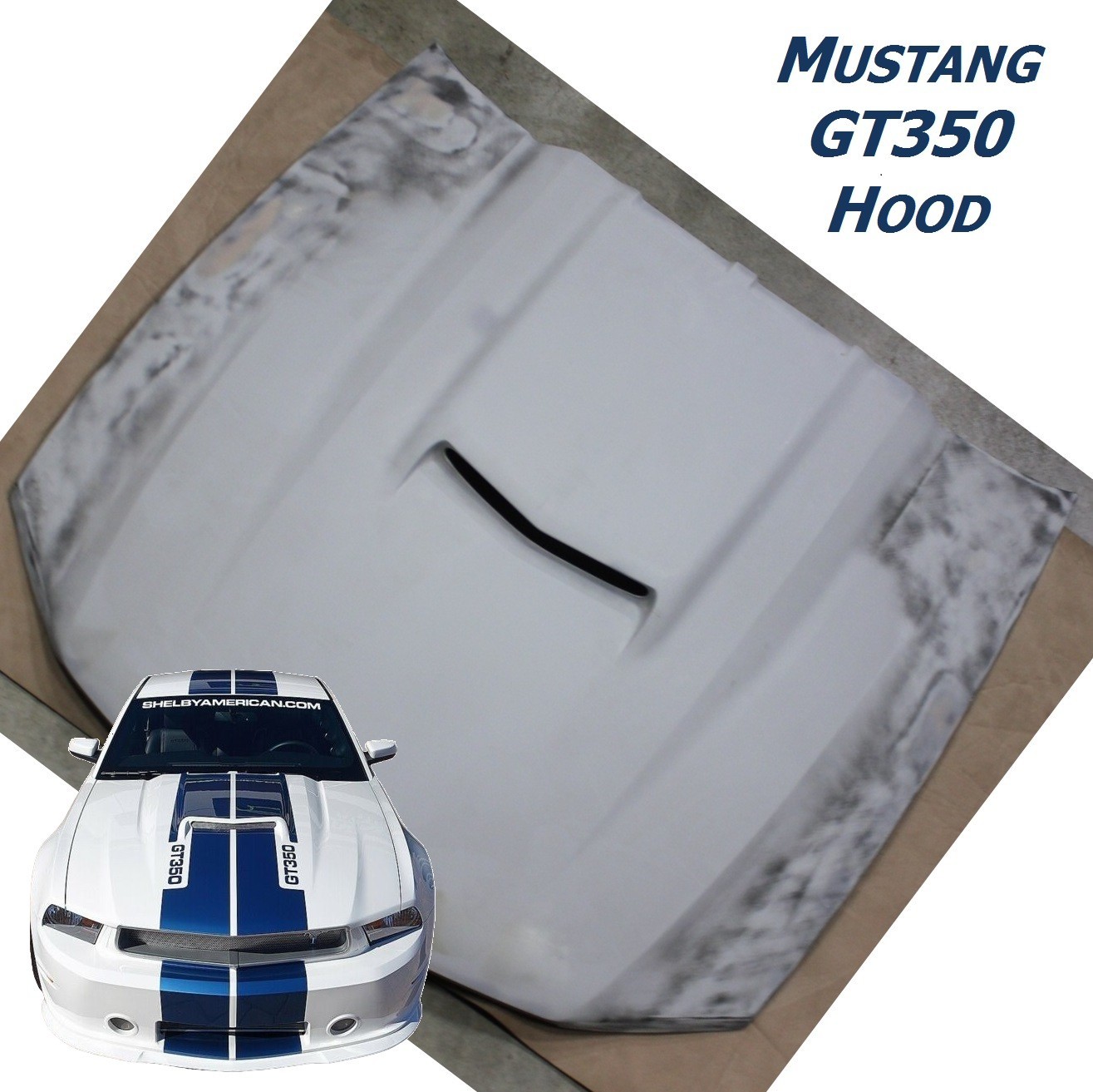 2011-2014 Ford Mustang GT350 Shelby Hood Panel Genuine OEM NOS