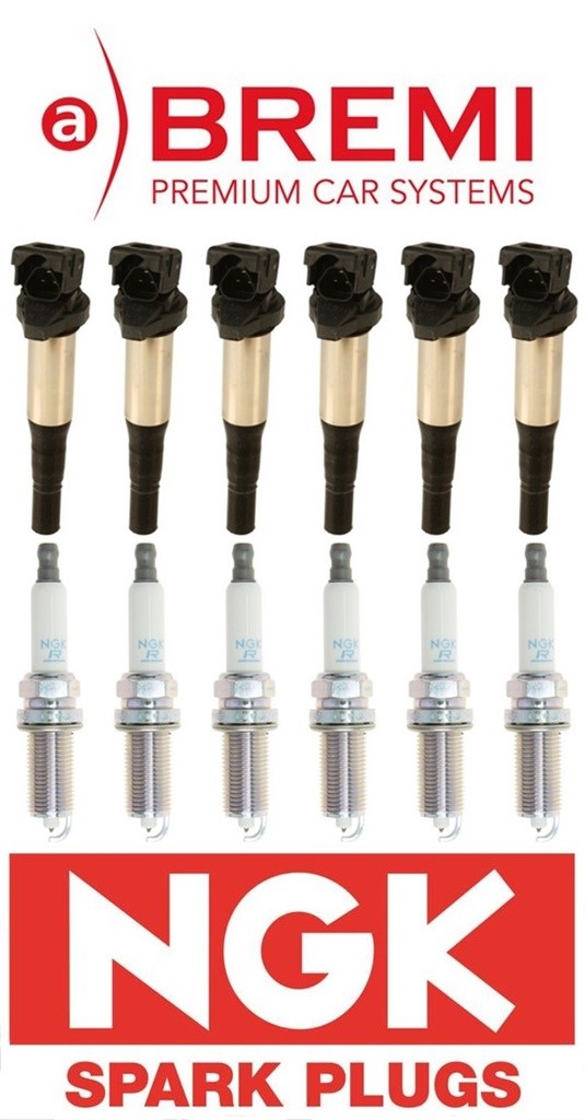 Six Bremi Ignition Coils w/NGK Spark Plugs BMW OE #\'s: 12138616153 / 12120037663