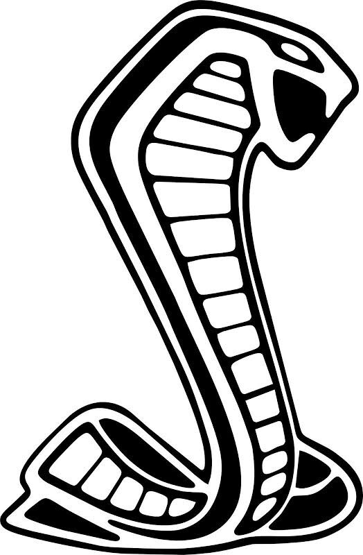 *Winddow Vinyl Decal Sticker for Shelby Mustang GT350 GT500 ford gt White 22”