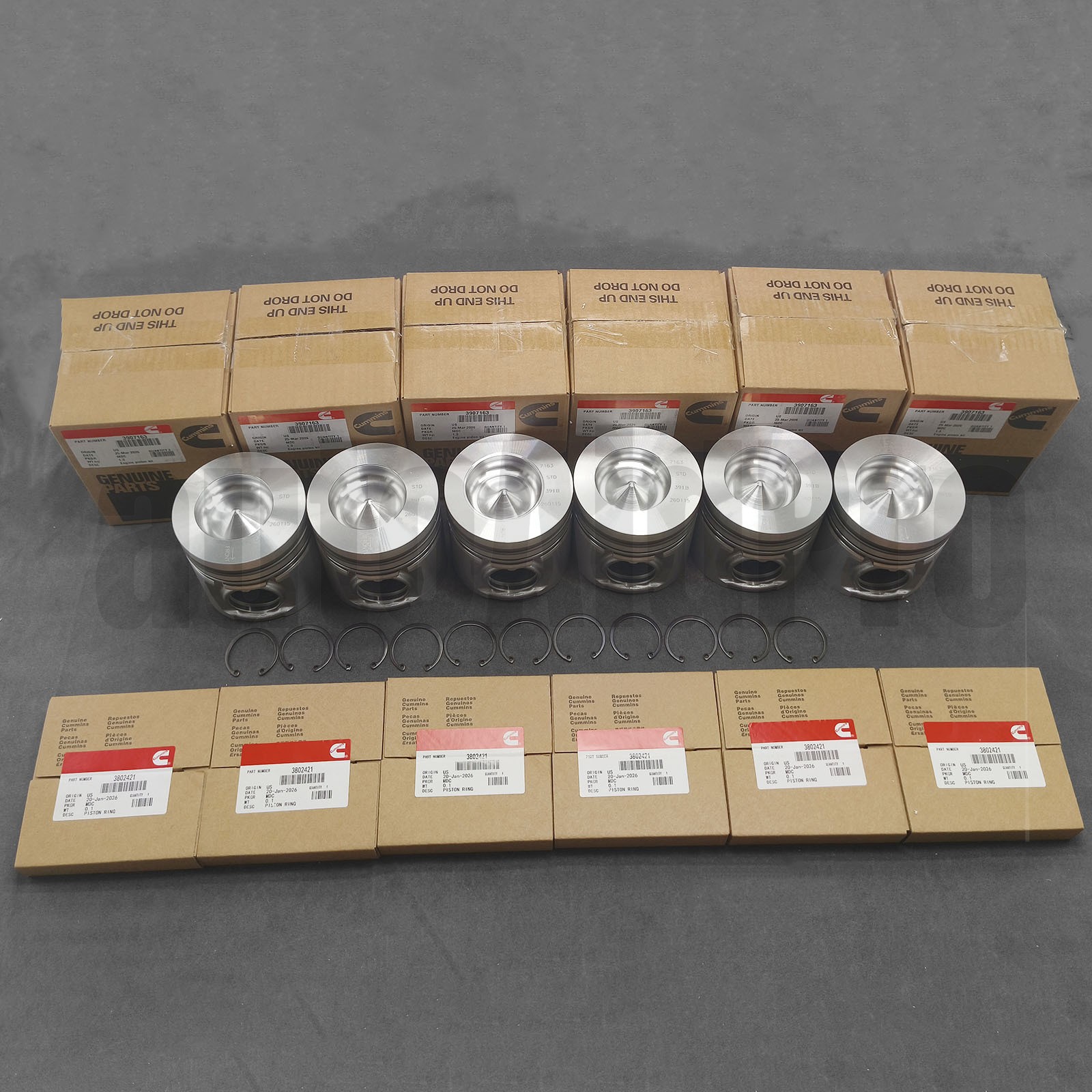 6Pcs STD Piston Piston Ring Set for 5.9 Cummins 6B 4B B5.9 3907163 3802160 CASE