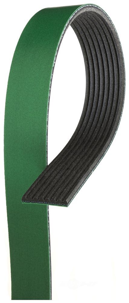 Serpentine Belt   Gates   K080708HD