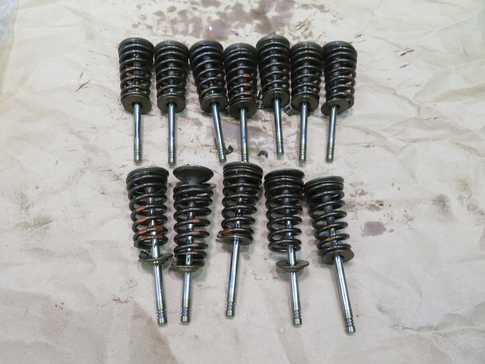 01-06 BMW E46 330ci 330i M54 SET OF 12 ENGINE MOTOR INLET VALVE OEM