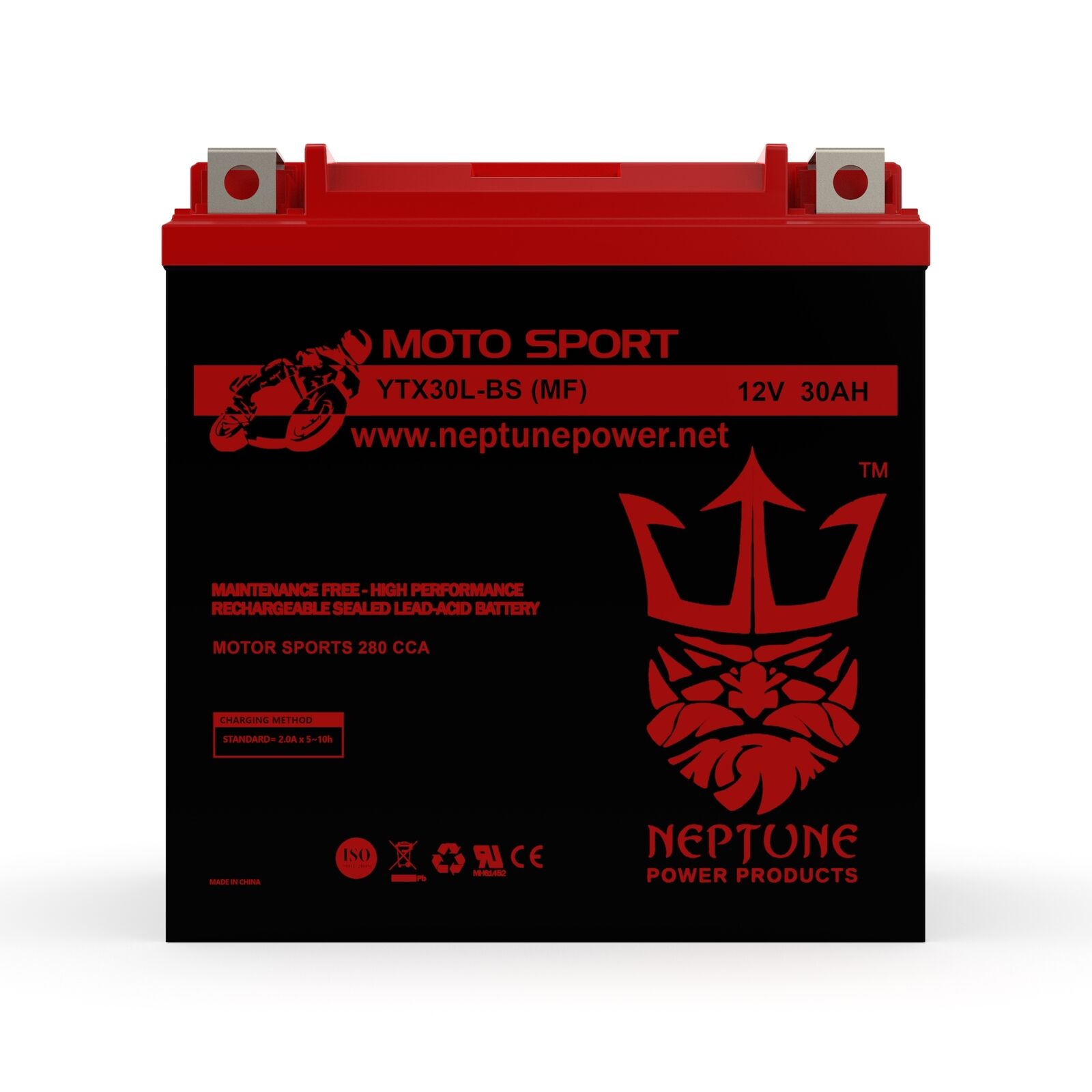 Neptune YTX30L-BS High Performance-Maintenance Free AGM Motorcycle Battery