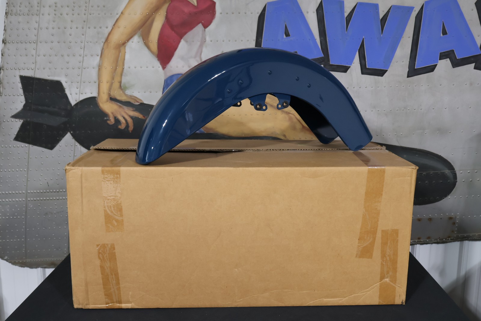 58900072ESK NEW OEM 2009-2023 HARLEY-DAVIDSON FLTRXS FRONT FENDER