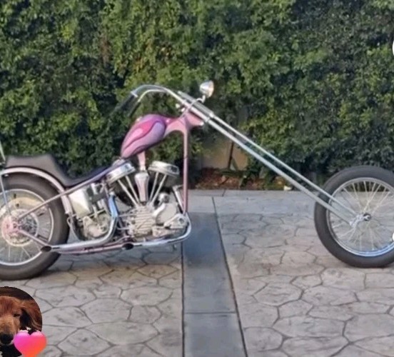 Fred Henandez Harley Chopper Frame \