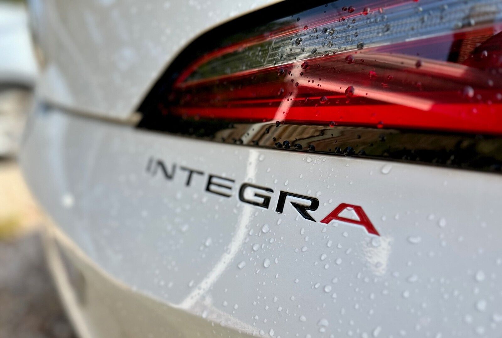2023 - 2024 Acura Integra Vinyl Bumper Inlay 2 Sets Included