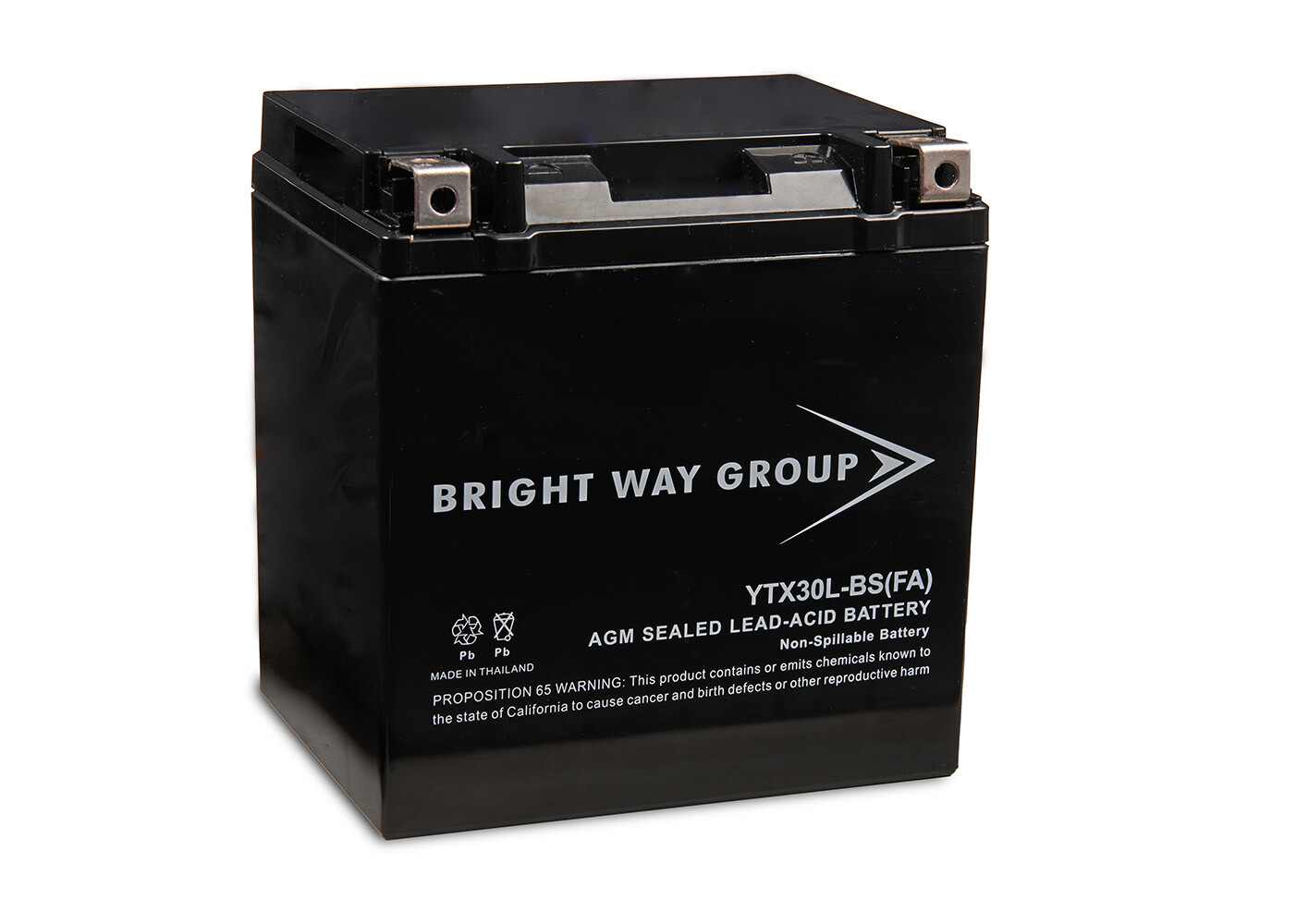Yuasa YTX30L-BS Motorcycle Battery - 12V 30Ah 385CCA Replacement by BrightWay