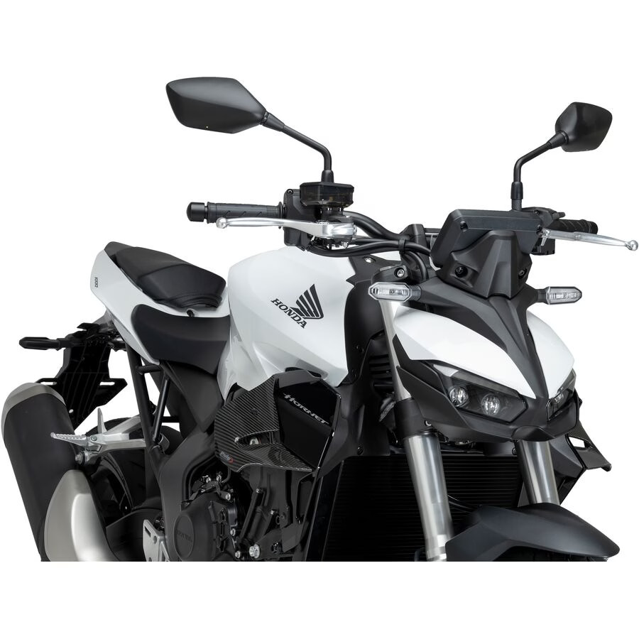 Puig D12 Spoilers - Carbon Look, Side 22384C
