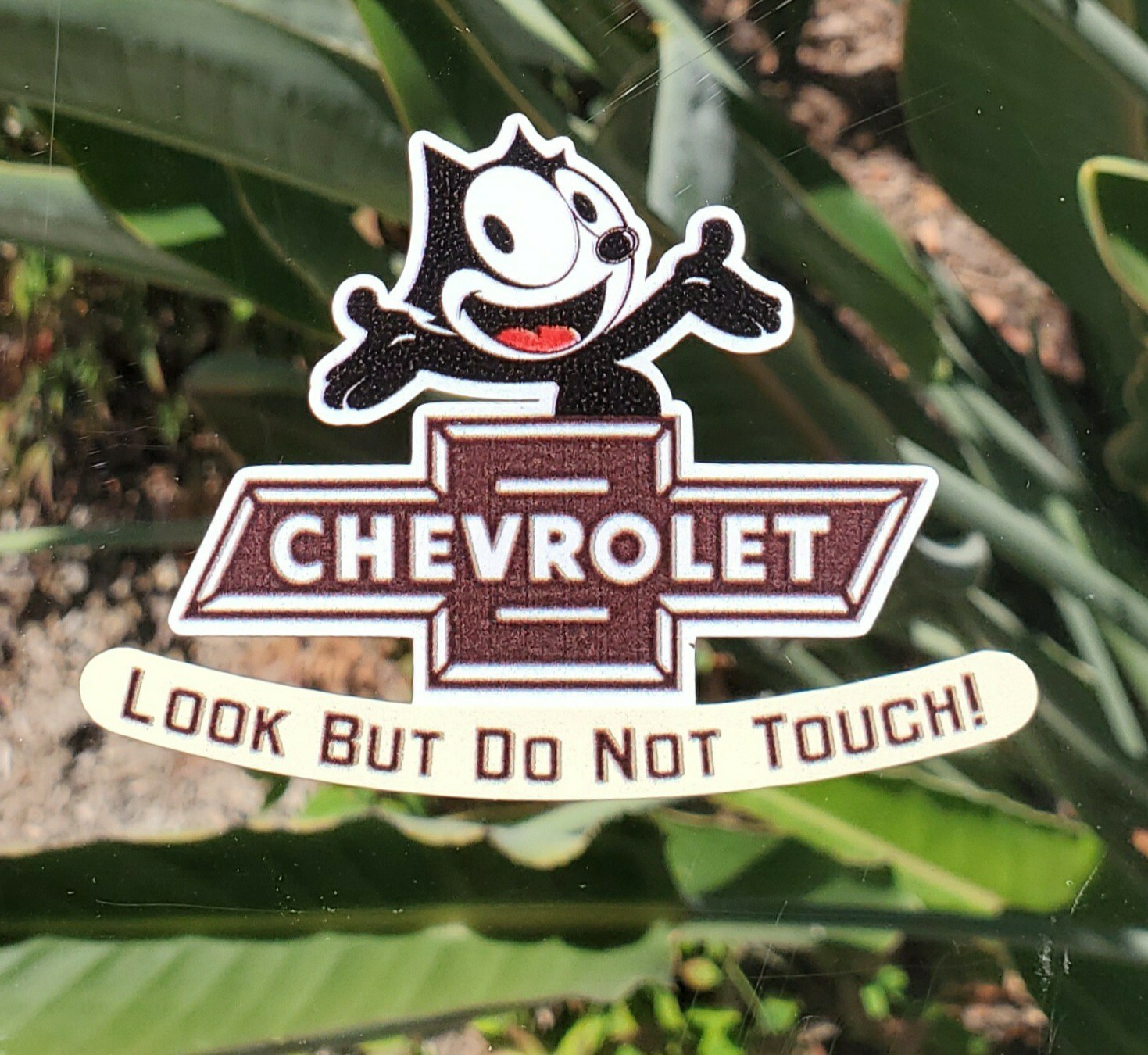 New Felix Cat Brown w/ Tan Chevrolet Look But Do Not Touch Inside Glass Decal