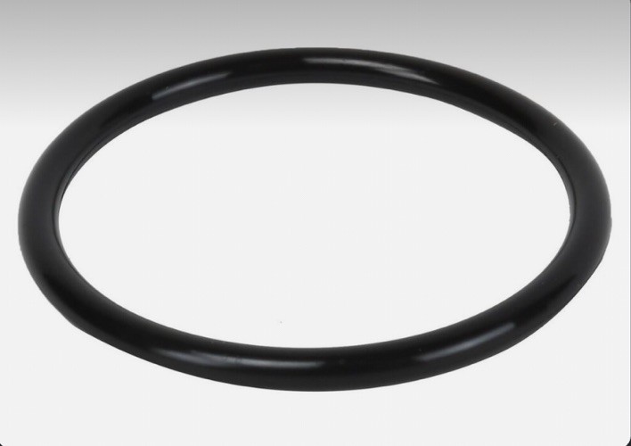 GM OEM 01-23 Express 2500 Cooling Water Pump-Outlet Pipe O-Ring 94011702 251-203 GM OEM 01-23 Express 2500 Cooling Water Pump-Outlet Pipe O-Ring 94011702 251-203