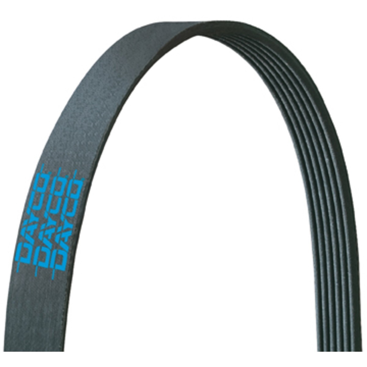 5081352 Dayco Serpentine Belt for F450 Truck F350 F250 F550 F-450 Super Duty LCF