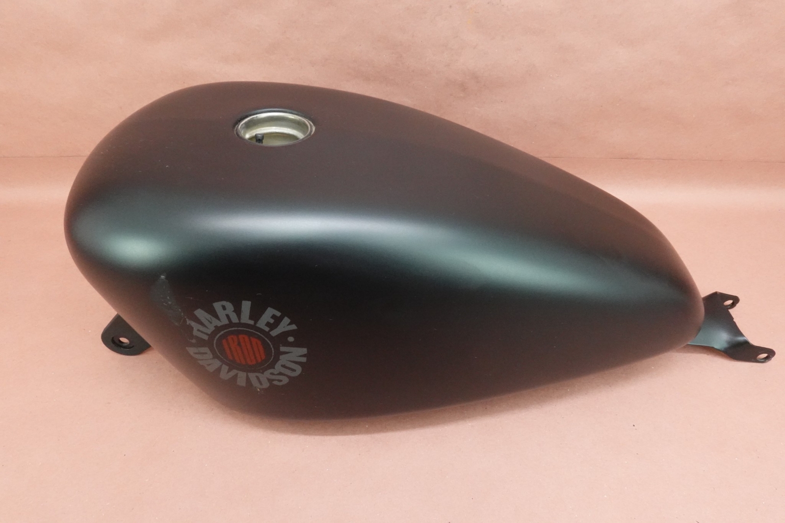 2009-2021 Harley Davidson Iron 883 XL883N Gas Tank Fuel Cell Petrol Reservoir