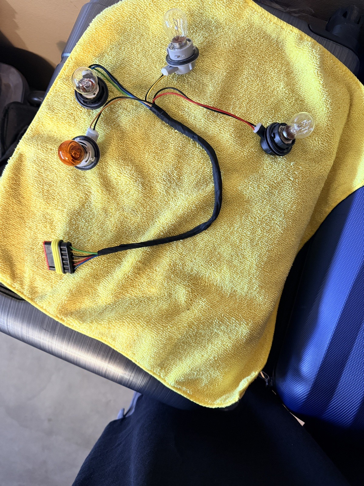 LAMBORGHINI GALLARDO REAR TAIL LIGHT WIRING HARNESS w/ Bulbs