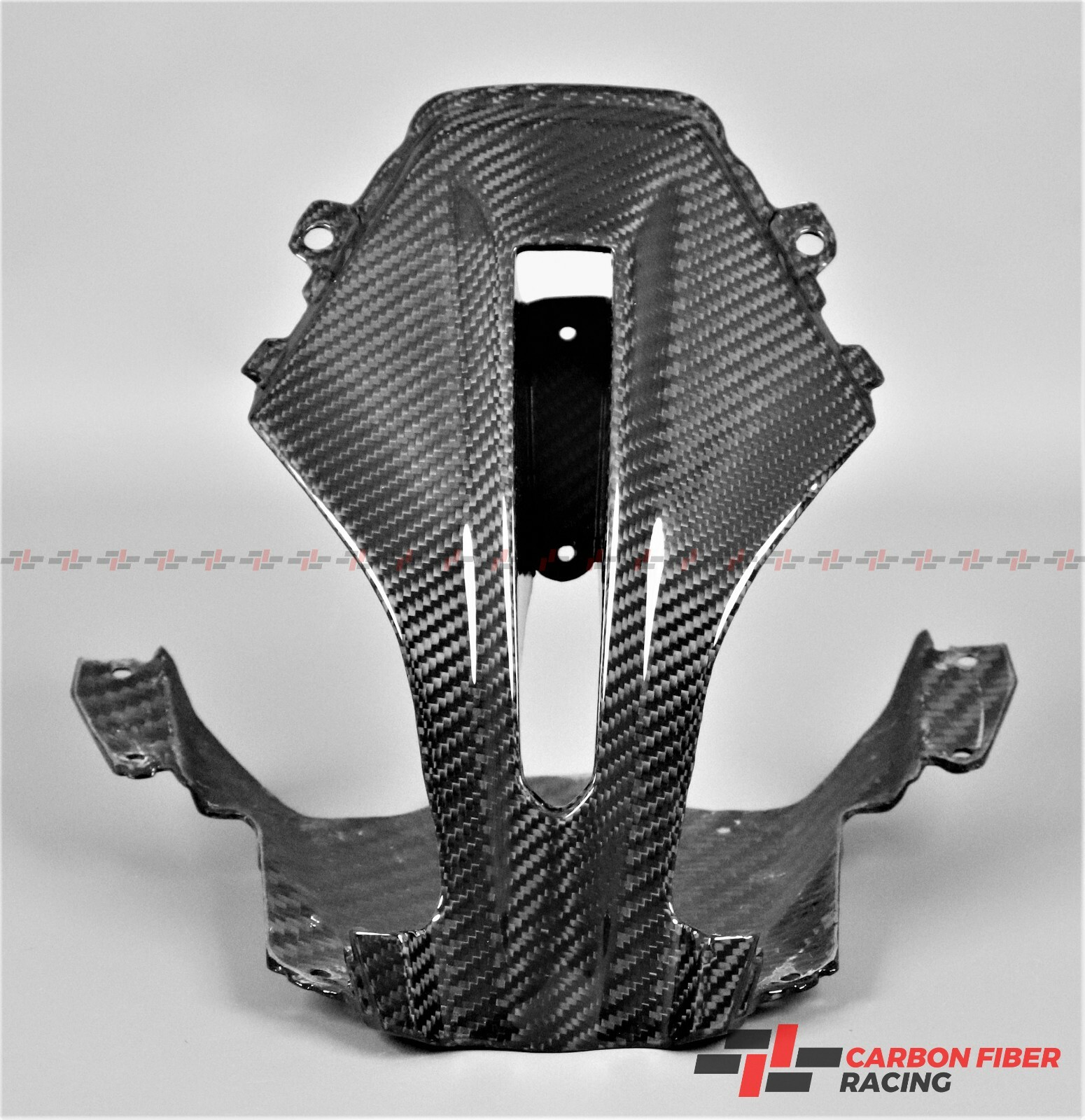2015-2018 BMW R1200RS Middle of Front Fairing - 100% Carbon Fiber