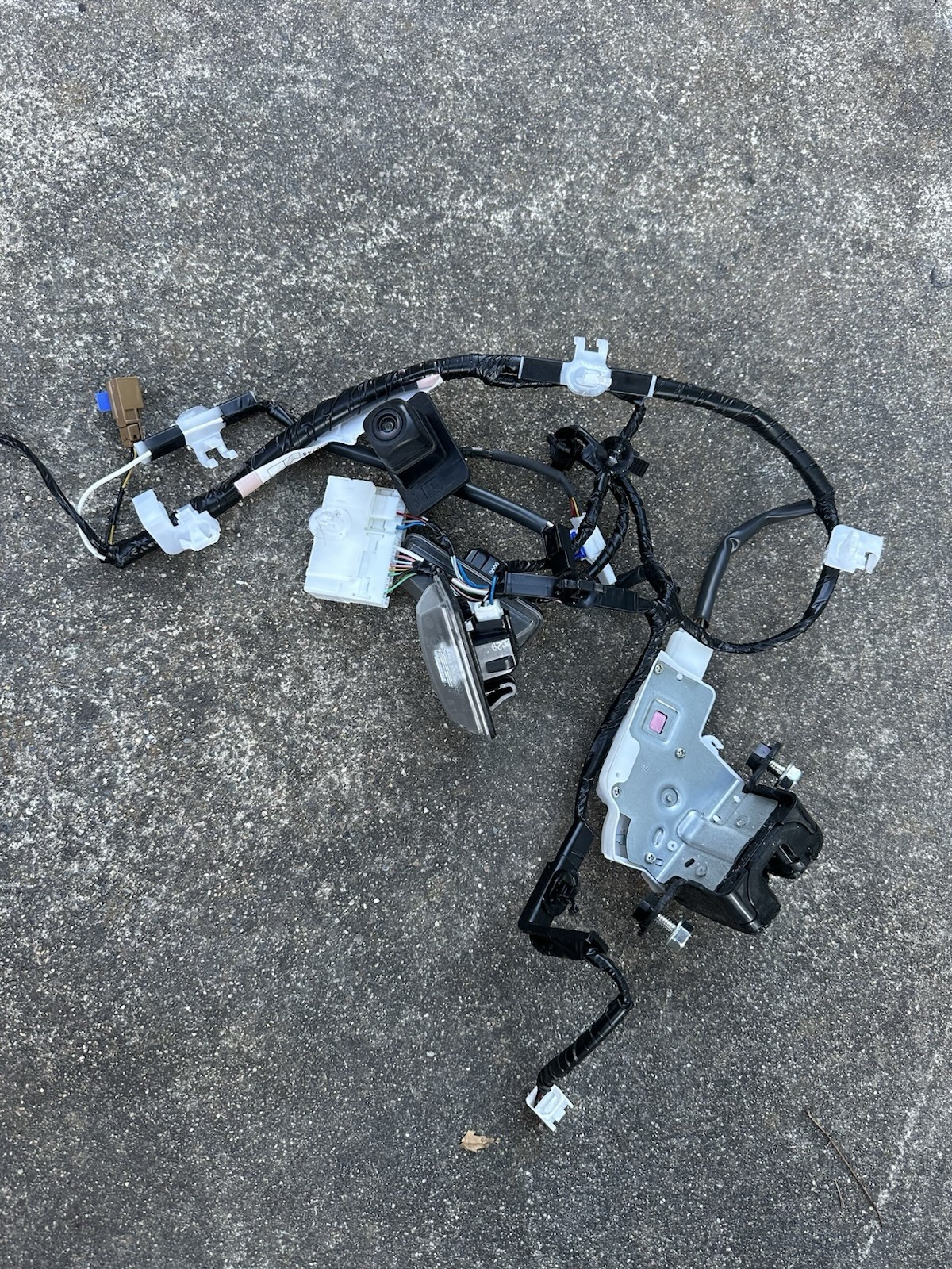 2019-2024 Subaru Forester OEM Liftgate Harness w/ Camera, Latch & Lights 2019-2024 Subaru Forester OEM Liftgate Harness w/ Camera, Latch & Lights