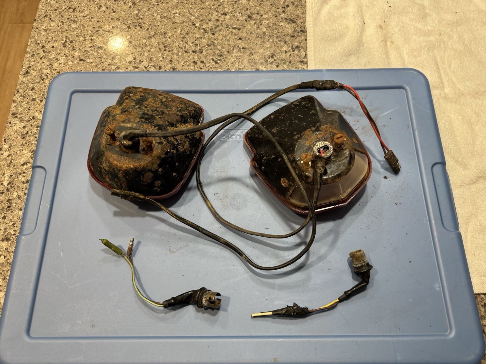 1953-1960 Ford Flareside Tail Light