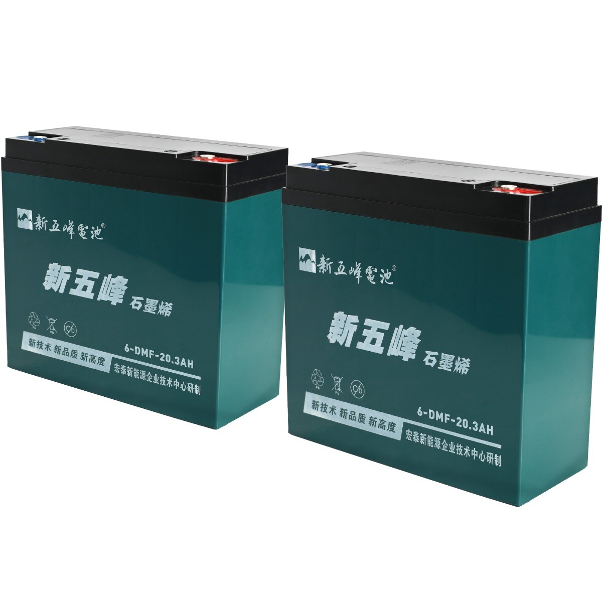 2x 6-DMF-20 6-DZM-20 6-DZF-20 12V 20AH Battery 24V E Bike E300 Razor MX350 MX400