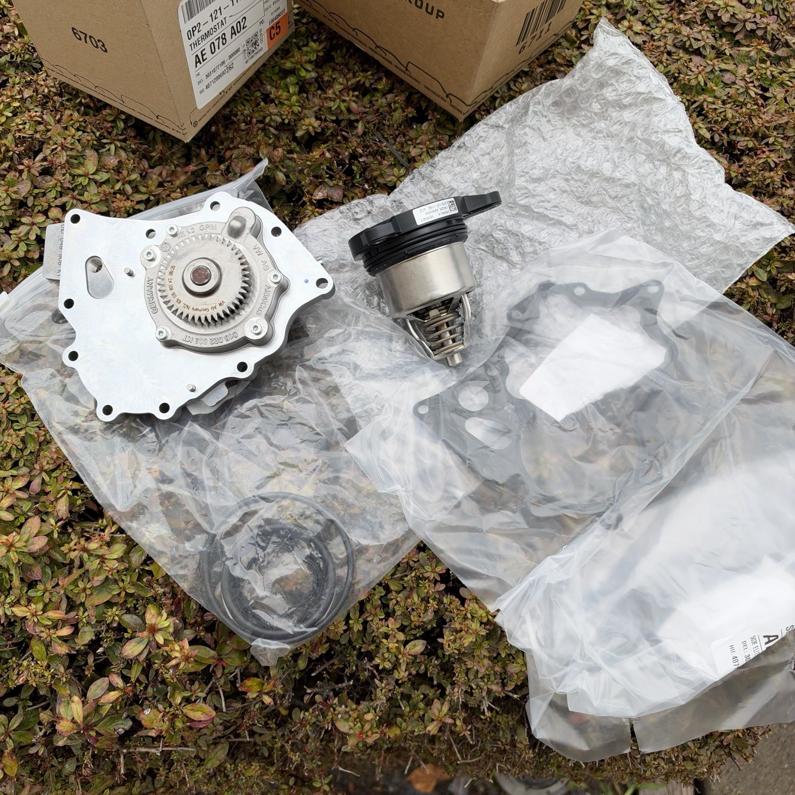 Lamborghini Urus Thermostat & Water Pump Lamborghini Urus Thermostat & Water Pump