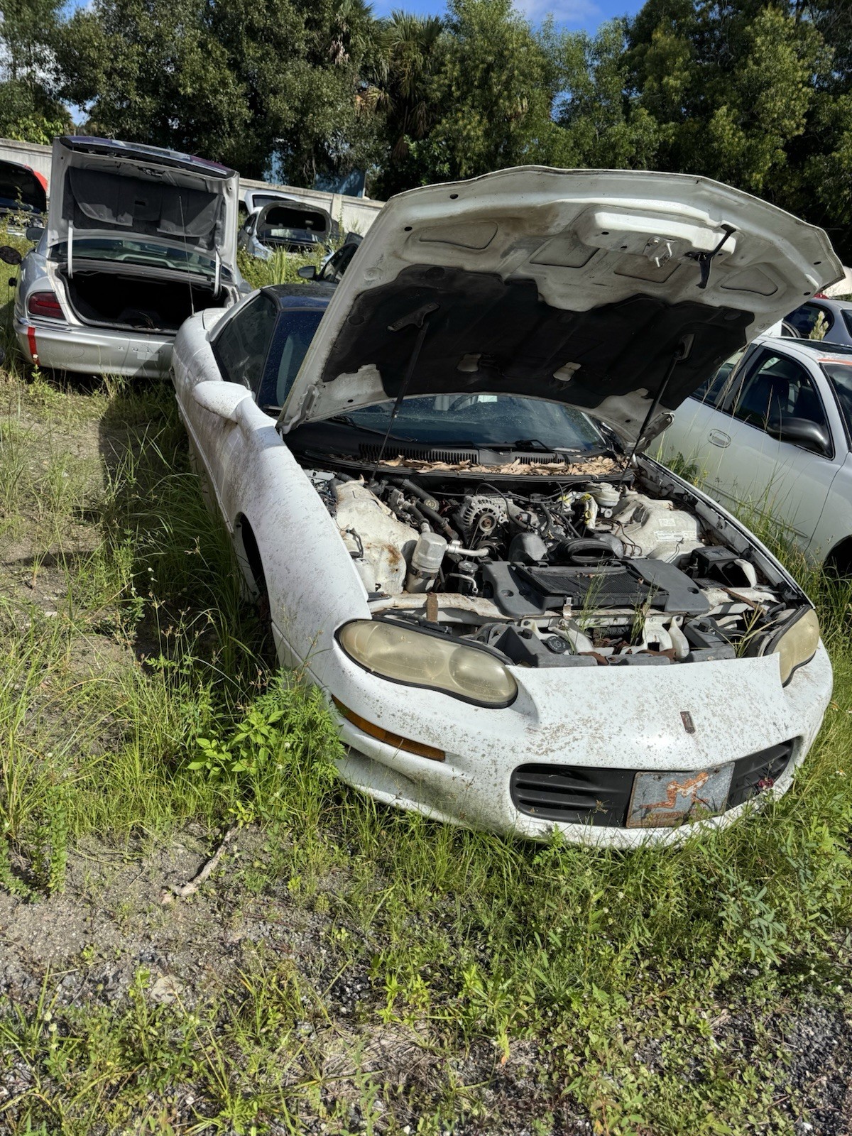 1993-2002 Firebird Trans Am Camaro RIGHT LEFT Side T-top Ttop Glass Roof Top T 1993-2002 Firebird Trans Am Camaro RIGHT LEFT Side T-top Ttop Glass Roof Top T