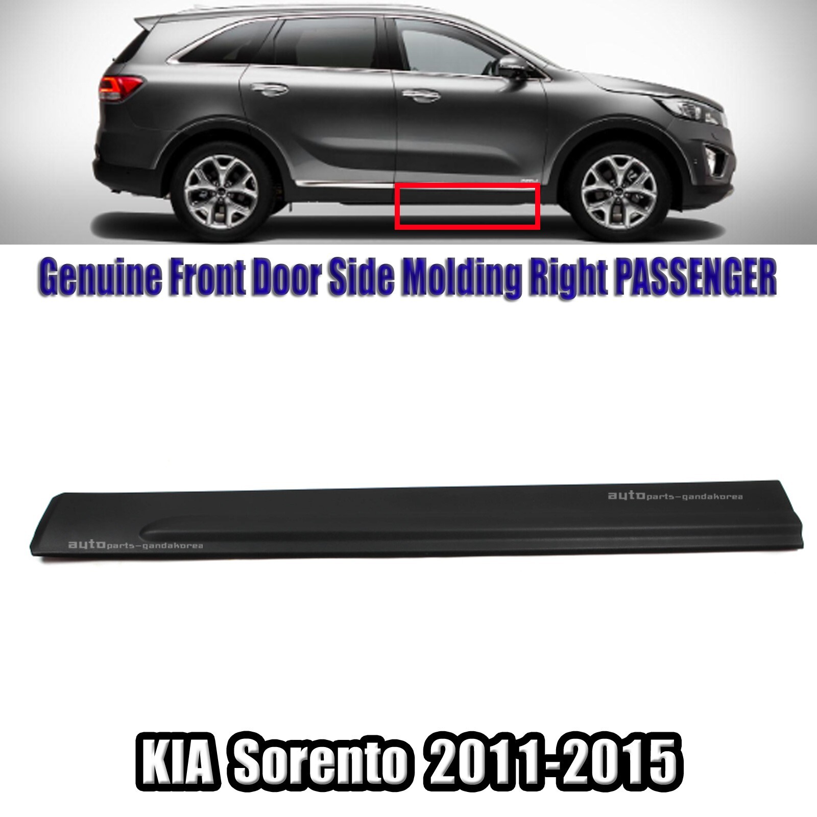 FREE Fast⭐FEDEX Genuine Front Door Lower Molding RIGHT For Kia Sorento 2011-2015